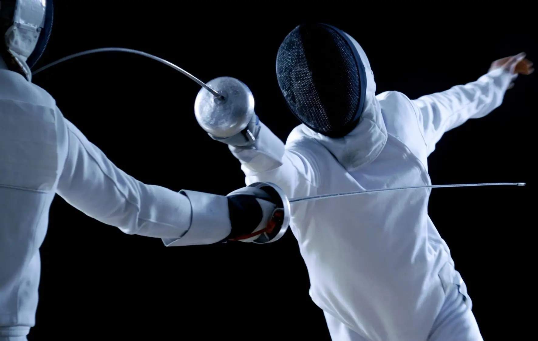 Fencing (2)