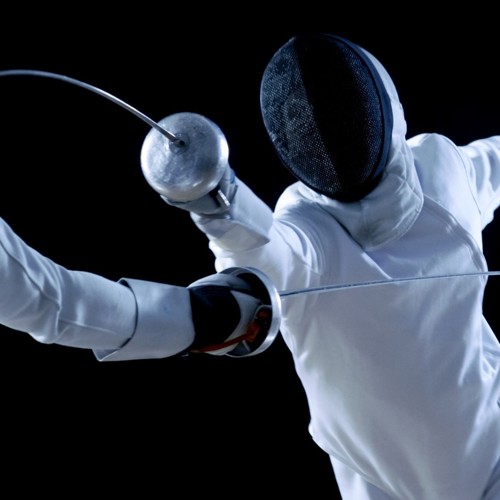 Fencing (2)