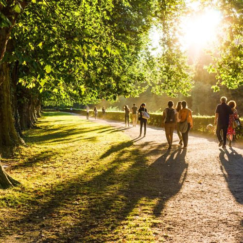 Walking In The Park