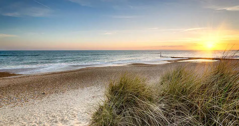 Oconnors Profile Kathryn Dorset