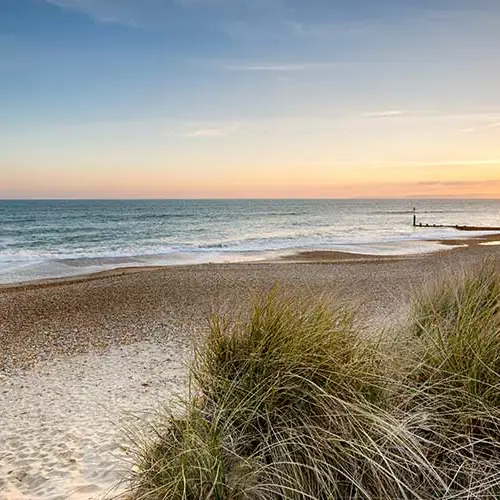 Oconnors Profile Kathryn Dorset