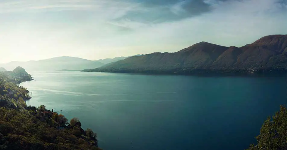 Oconnors Profile David Nature