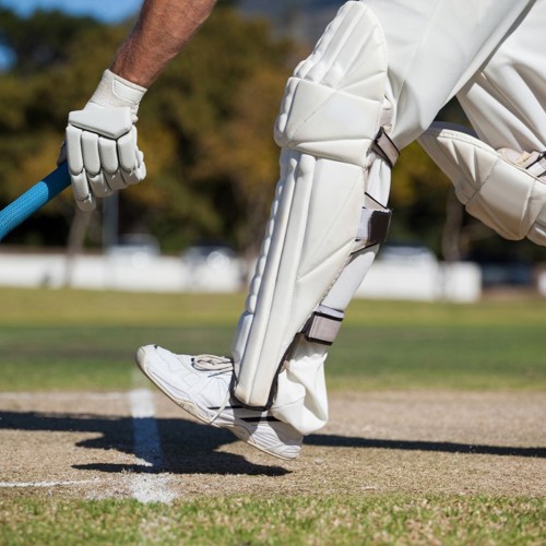 Cricket